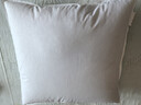 恒源祥 纯棉抱枕芯内胆靠背正方形靠枕沙发靠垫50*50cm 实拍图