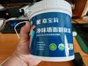 嘉宝莉补墙漆白色修补墙面翻新漆内墙去污遮盖净味内墙乳胶漆浅蓝色1kg 实拍图