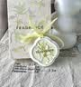 HomeFlower无火香薰卧室内香氛衣柜香挂扩香石桂花车载挂饰伴手礼 实拍图