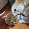 富力鲜猫罐头白肉罐头成猫泰国进口猫湿粮布偶加菲拌饭猫零食整箱 白身鲔鱼+牛肉85g*24罐【热销】 实拍图