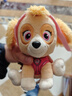 汪汪队立大功（PAW PATROL）毛绒玩具狗狗陪睡玩偶经典款天天小号坐姿可爱公仔男女孩生日礼物 实拍图