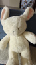 京东京造AI毛绒玩具儿童玩具JoyInside智能AI陪伴机器人生日礼物 云朵兔 实拍图