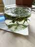 骏江南茶叶新茶龙井茶绿茶茶叶礼盒装200g自己喝节日送礼品 实拍图