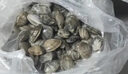 鱼姐海成 青岛毛蛤蜊鲜活新鲜赤贝海鲜水产贝类毛钳血蛤生吃刺身500g袋装 实拍图