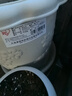 爱丽思（IRIS）仿陶瓷长钵浮雕花盆阳台塑料加厚树脂圆形三角梅多肉月季绣球花盆 7号浅米色【2.7L 直径21cm 1个盆＋1个托【省心组合】 实拍图