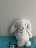 Jellycat害羞乳白色邦尼兔动物毛绒玩偶安抚玩偶娃娃送礼生日礼物 害羞乳白色邦尼兔 Medium 实拍图