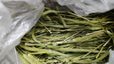喜帅兔子提摩西草 精选烘干北提提草龙猫兔粮荷兰猪主粮磨牙零食500g 实拍图