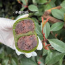 无防腐！艾草青团糯叽叽纯手工清明果子米粿蛋黄艾叶粑粑团鼠曲草 【八口味混合】无防腐剂*8粒 实拍图
