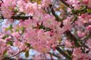 尼康（Nikon）Z50II 微单相机 Z50二代Vlog自拍高清旅游便携 专业 摄影 内录4K N-log侧翻触摸屏照相机 Z50II+Z18-140旅游镜头(6期免息） 入门套餐一【搭配64G卡+ 实拍图