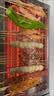 旭安电烧烤炉家用烧烤炉子无烟羊肉串生蚝面筋不锈钢电烤炉商用开店摆摊电烧烤炉 加厚80款【带烤盘】（4000W）16A插头 1层 实拍图