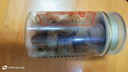金唐大连鲍鱼干150g 佛跳墙海鲜干货 煲汤火锅食材 礼品 源头直发包邮 实拍图