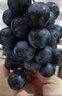 京鲜生 云南夏黑无籽黑提2.8-3.3斤装单果5g+葡萄提子生鲜水果源头直发 实拍图