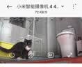 hoopet超大容量宠物自动喂食器猫碗狗盆大型犬狗狗饮水机猫咪喂水投食器 饮水器3.8L超大容量 典雅灰 实拍图