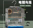 獒少保鸟笼鹦鹉专用鸟笼大号家用八哥鹦鹉笼子金属电镀加粗豪华鸟别墅 电镀银豪华套餐 大号56*32*31cm 实拍图