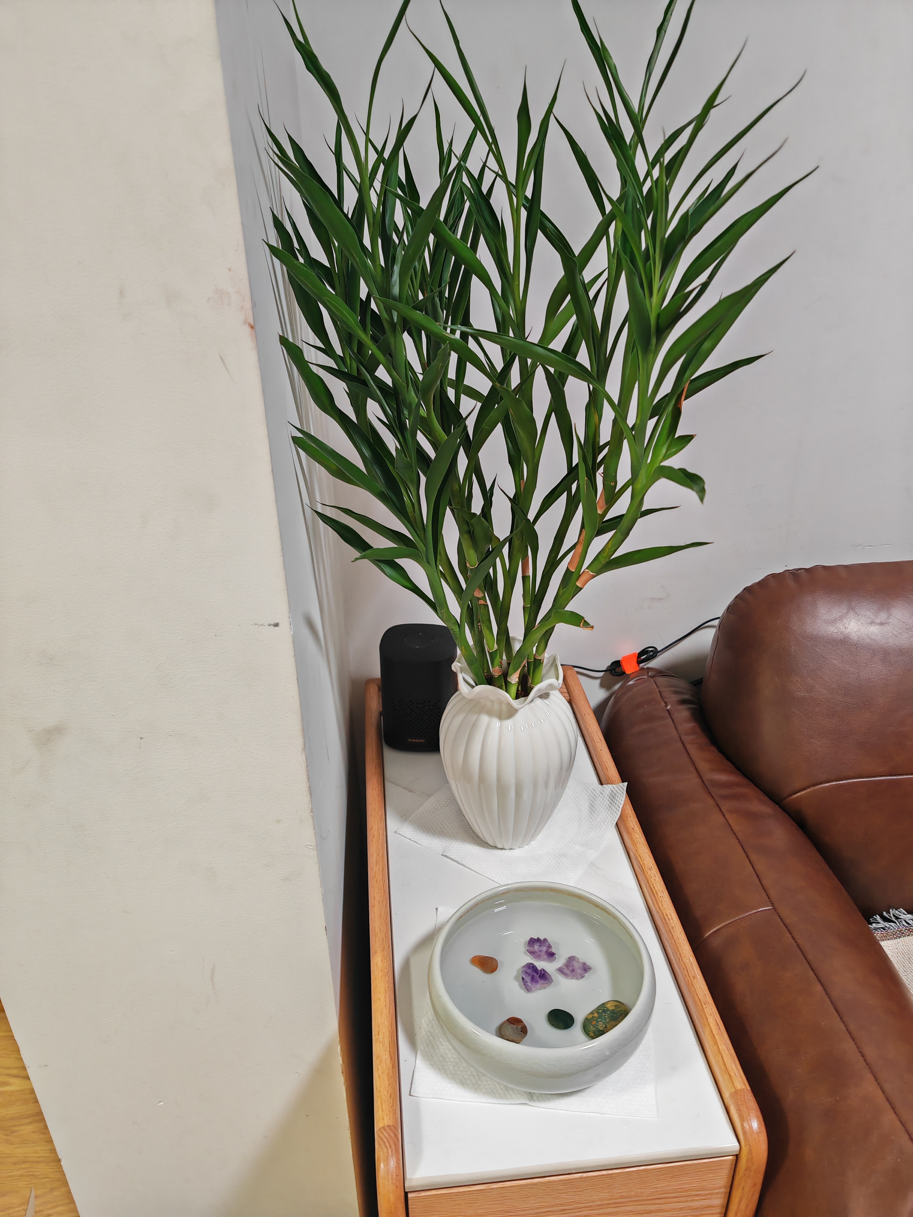 陶瓷花瓶摆件客厅插花水培鲜花绿植盆栽家居装饰品干花花插小花器 HD-05奶油白清晏瓶 实拍图
