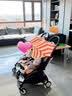 Stokke【1元锁双11权益】YOYO3 6+ 全能型推车折叠遛娃轻便婴儿车可坐躺 【新色YOYO3 6+】全能型轻便车6月龄+卡普里 黑色车架 实拍图
