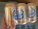青岛啤酒（TsingTao）大白鲨原麦汁浓度9°P听装啤酒整箱 330mL 24罐 实拍图