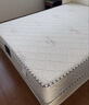 慕胜弹簧床垫席梦思1.8米天然乳胶椰棕20cm厚十大品牌1.8x2米适中偏硬 实拍图