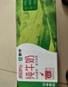 蒙牛全脂纯牛奶250ml*21盒 早餐健身伴侣 实拍图