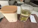丙田 特级天目湖白茶礼盒 溧阳明前26年头采新茶叶早春绿茗茶送礼201g 实拍图