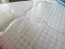 顾家家居京东家具防螨弹簧棕榈硬床垫宝石蓝席梦思M0083 实拍图
