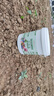 绿盼通用三元复合肥料氮磷钾15-15-15蔬菜种菜花卉盆栽水溶颗粒2.5kg 实拍图