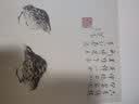 八大山人册页精选：山水花鸟册 山水花果册 实拍图