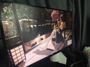 泰坦军团27英寸MiniLED 4K 160Hz双模320Hz DyDs0.5ms GAME+AI准星HDMI2.1 HDR1000 升降电竞显示器P276MV 实拍图