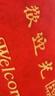 柏能欢迎光临地垫入户门垫红地毯丝圈脚垫进户门口迎宾地垫120x180cm 实拍图