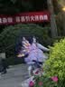 迪士尼（Disney）轮滑鞋礼盒儿童闪光初学溜冰鞋女童旱冰直排滑轮生日儿童节日礼物 实拍图