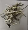匠界白毫银针茶叶正宗云南白茶古树花果香月光白茶罐装50g 实拍图