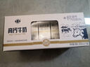 石埠 乳业高钙牛奶整箱特批高钙儿童学生钙营养成长早餐奶 200ml*15盒装*1提 实拍图