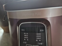 九阳（Joyoung）电炖锅电炖盅电砂锅炖汤盅煲汤锅多功能锅紫砂锅燕窝炖盅煮粥锅直炖4L大容量 可预约保温GD410 实拍图