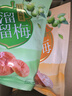 溜溜梅 日式梅饼100g 无核青梅肉大颗酸甜梅子果干休闲零食 实拍图