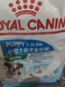 皇家狗粮幼犬狗粮幼犬奶糕宠物小型犬MIJ31全价犬粮2-10月8KG 实拍图