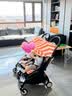 Stokke【1元锁双11权益】YOYO3 6+ 全能型推车折叠遛娃轻便婴儿车可坐躺 【新色YOYO3 6+】全能型轻便车6月龄+卡普里 黑色车架 实拍图