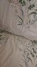 洁丽雅（Grace）7A抗菌100%纯棉四件套新疆棉床上用品床单被套150*200cm0.9/1.2米床 实拍图