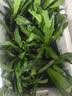 格沃斯泰国新鲜香菜野生刺芹芫西老缅芫荽云南大香菜傣 1斤-大香菜带根 实拍图