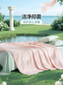 富安娜被子夏凉被可水洗抑菌空调被夏季被芯双人薄被子2.5斤203x229cm 实拍图