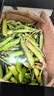 新鲜甜豌豆农家自种新鲜蔬菜豆角豆米现摘现发豌豆荚 净重3斤 实拍图