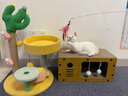 喵丽丝猫抓板板耐磨不掉屑猫咪猫爪板猫屋猫窝一体猫房子纸箱屋四季通用 双层双门大号25斤内适（送薄荷） 实拍图