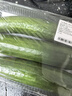 【水果菜】荷兰水果黄瓜约400g 实拍图