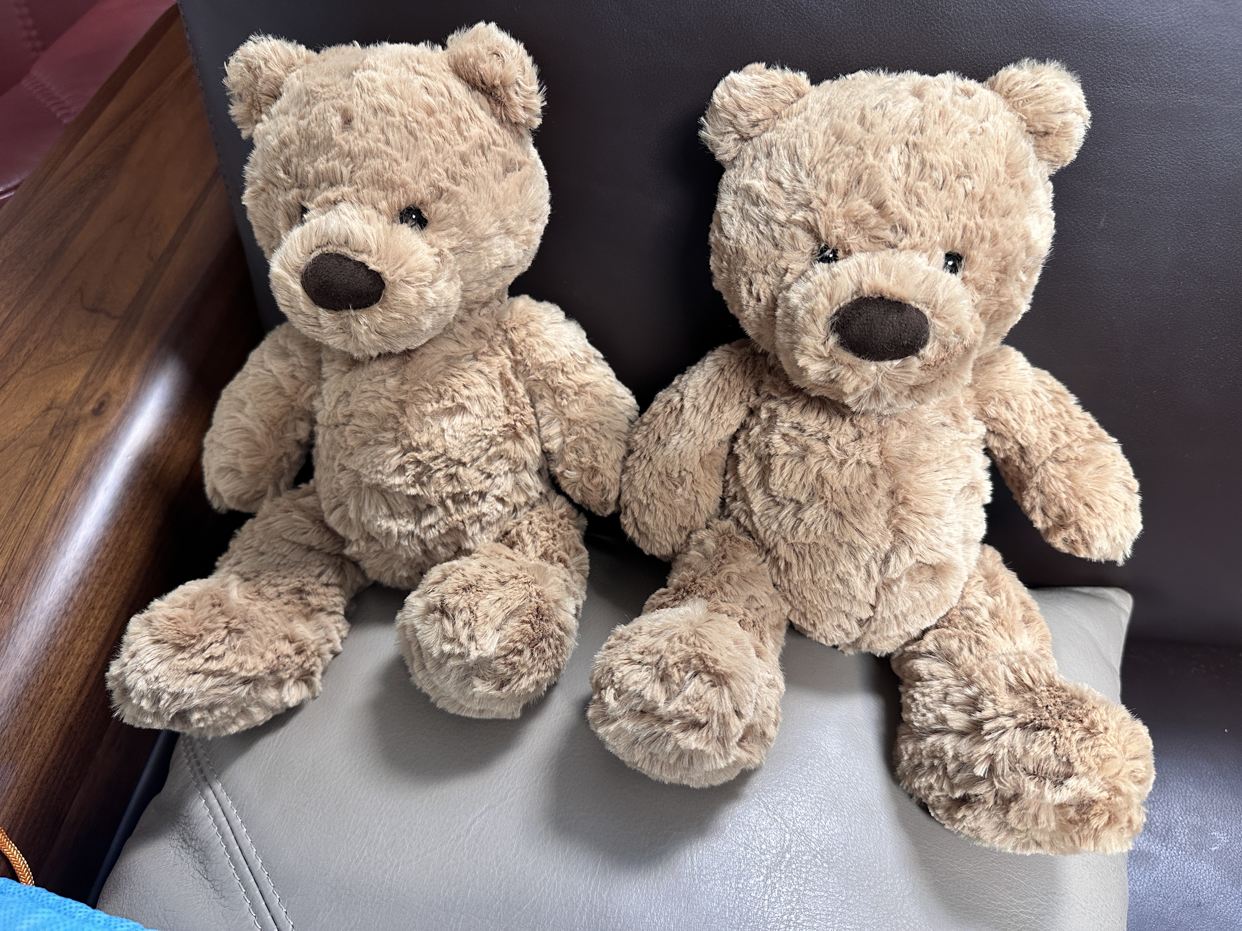 Jellycat笨笨小熊动物毛绒玩偶泰迪动物毛绒玩偶公仔送礼生日新婚礼物 笨笨小熊 Small 实拍图