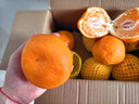 京鲜生 春见耙耙柑 净重5斤 单果150g起 生鲜柑橘桔子水果礼盒 实拍图