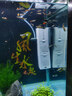 森森鱼缸过滤器三合一内置小型水族箱过滤系统增氧泵XQP-1000F 15W 实拍图