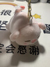 名创优品（MINISO）小猪B-BO系列趴姿毛绒挂件玩偶玩具娃娃包包挂饰挂件生日礼物女 实拍图