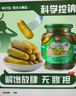 屋头俄式酸黄瓜330g*2 0脂乳黄瓜俄罗斯风味汉堡西餐沙拉下饭咸菜 实拍图