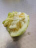南步山东马连庄甜瓜【顺丰】莱西特产蜜宝香瓜星甜小蜜蜂甜瓜新鲜水果 3斤 精选中大果【约5-7粒】泡沫箱 晒单实拍图