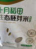 十月稻田 当季新米 生态胚芽米 90%留胚 5斤(营养辅食 粥米 东北大米) 实拍图