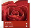 甜蜜点 耳钉纯银2026新生日礼物女士实用七夕情人节教师节毕业老师 实拍图